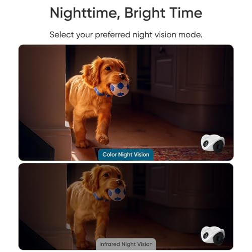 Robot Pet Camera with One-Tap Treat Dispensing | Mobile 360° Monitor, 2-Way Audio, and Smart Tracking | No Monthly Fees